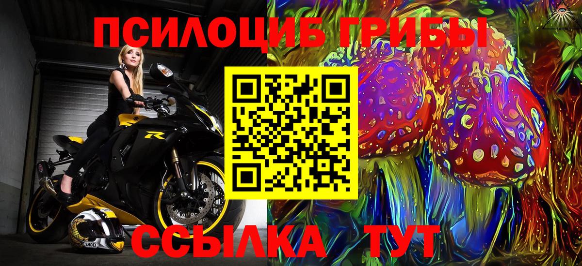Саранск  Псилоцибиновые грибы GOLDEN TEACHER  Вход с VPN 